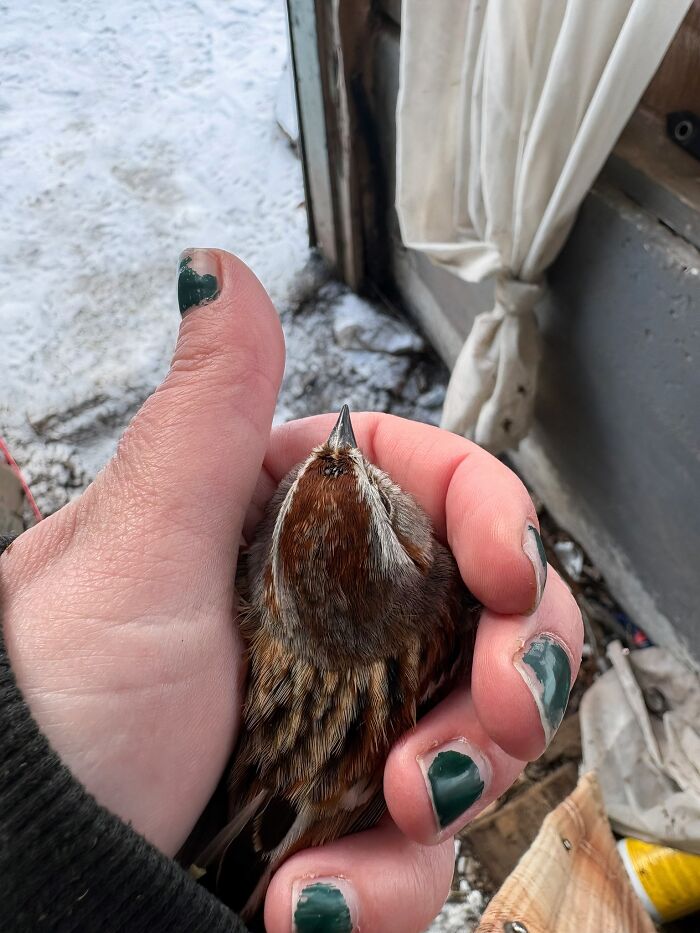66 People Who Saved Animals And Gave Them A Second Chance At Life
