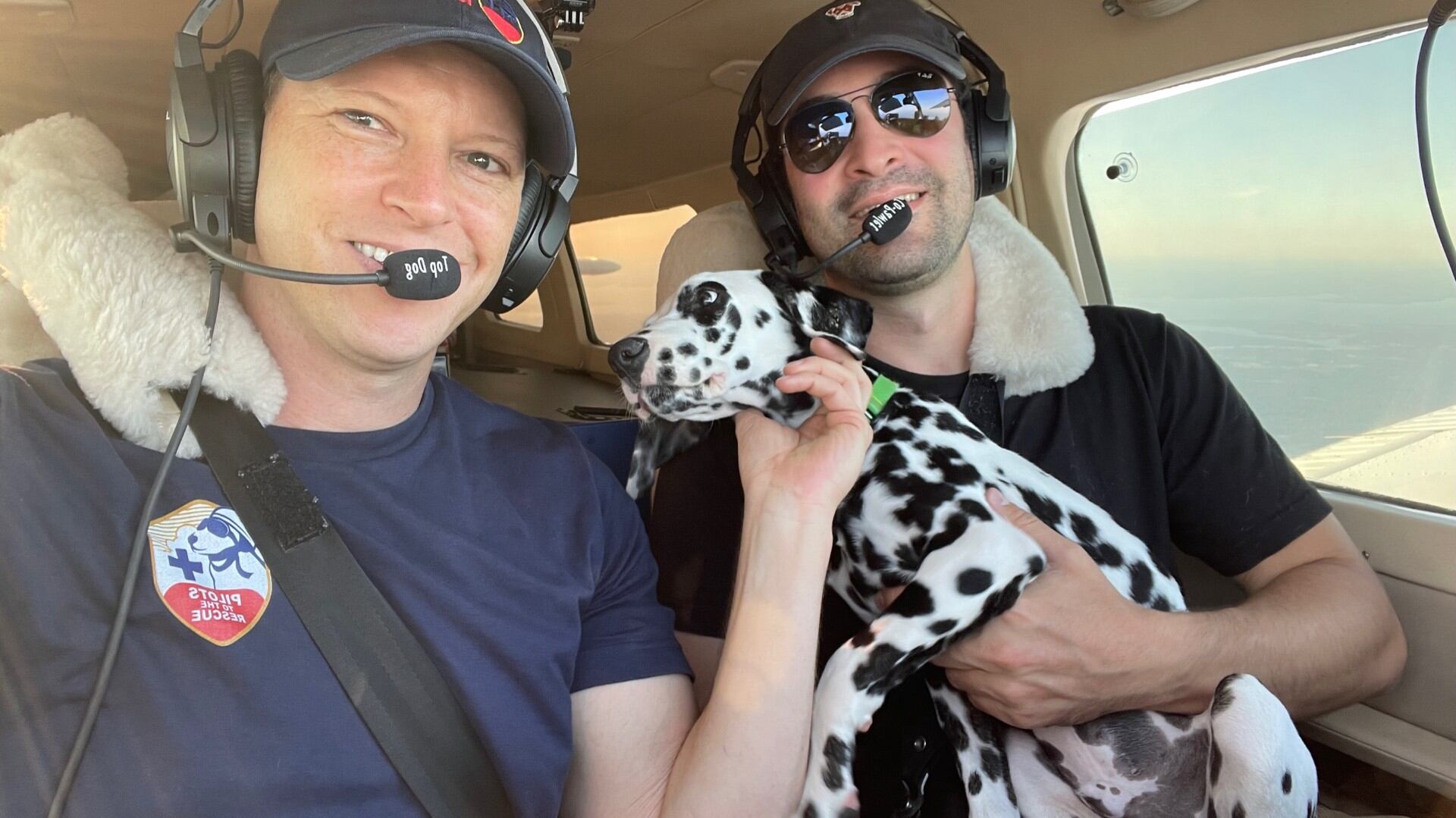Rescue flight transports dozens of cats and dogs from Georgia to New ...