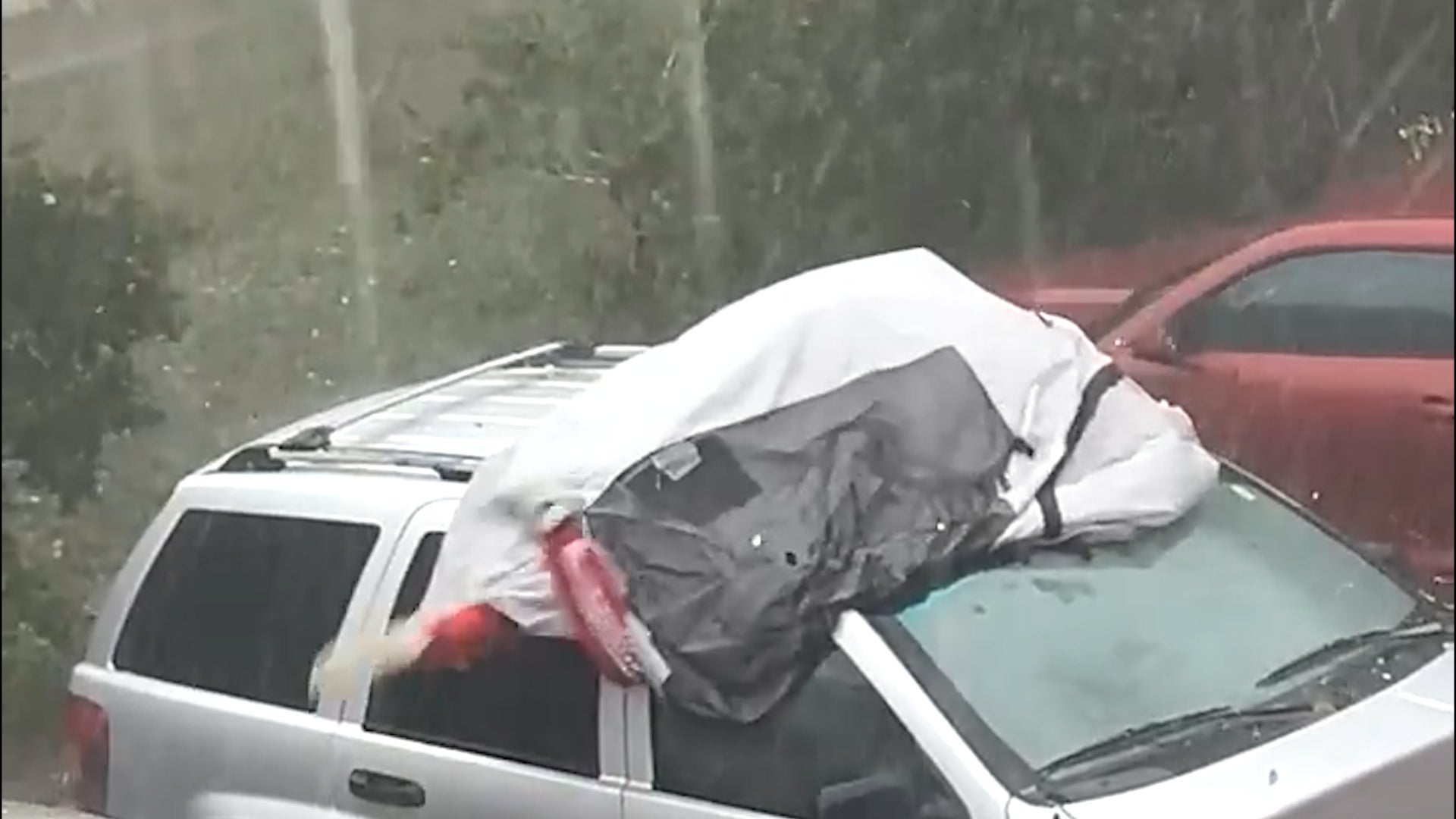Florida man risks body to protect car in hailstorm