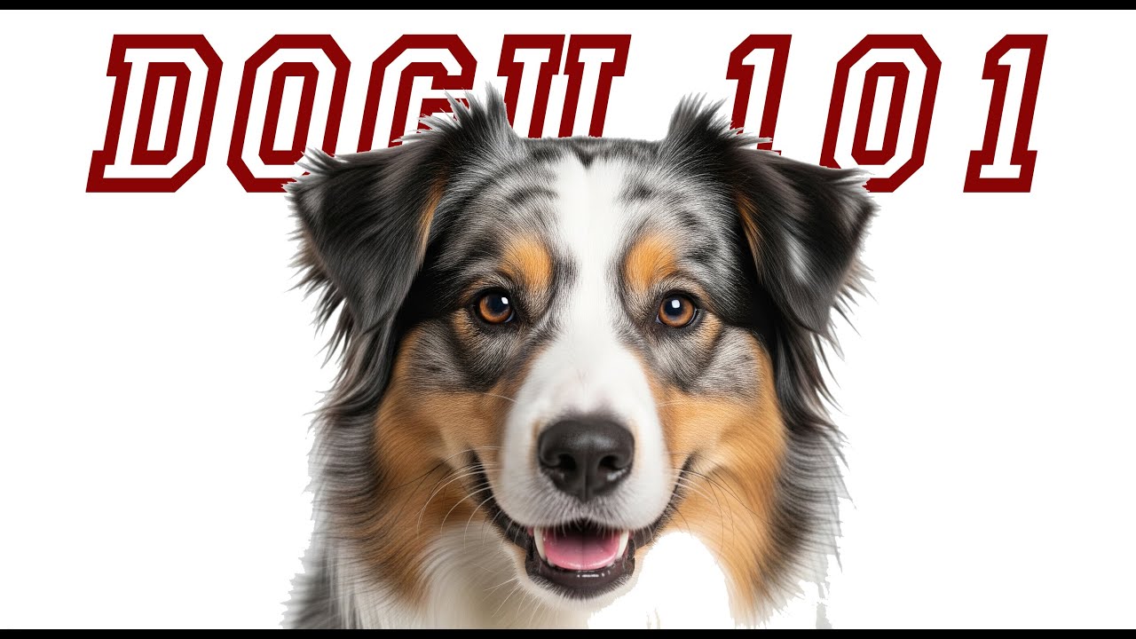 Meet the dog that rules the ranch!