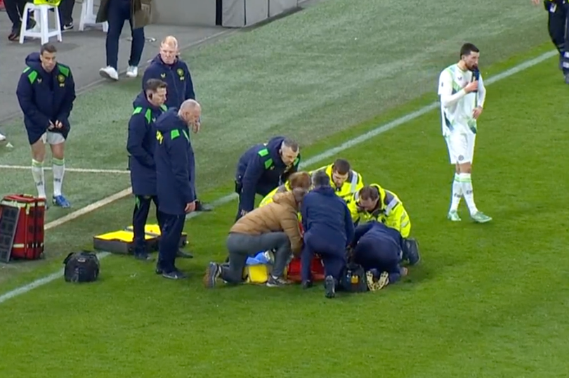 Ireland star suffers horror injury just minutes after coming on in ...