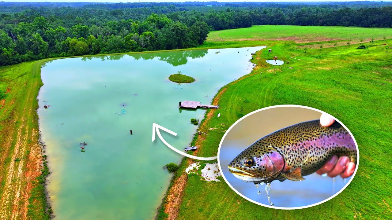 Stocking rainbow trout in the 5 acre pond!