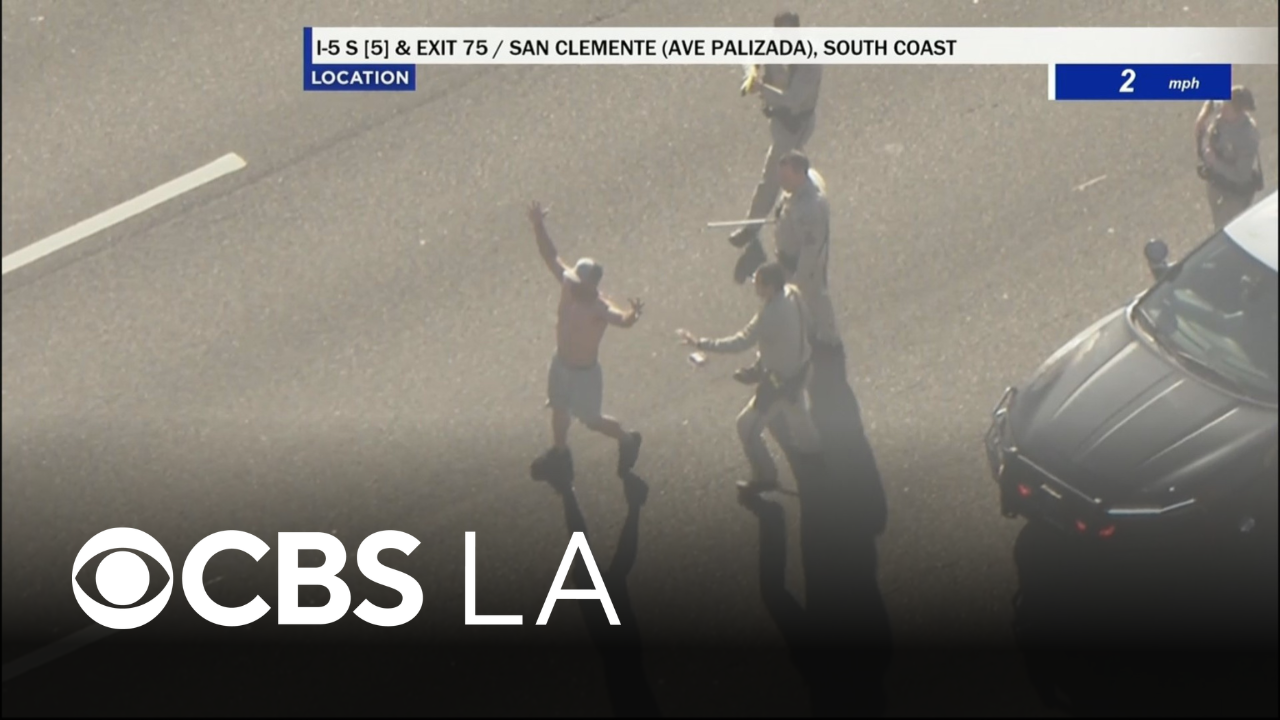 Pursuit suspect rips off his shirt while surrendering to police in ...