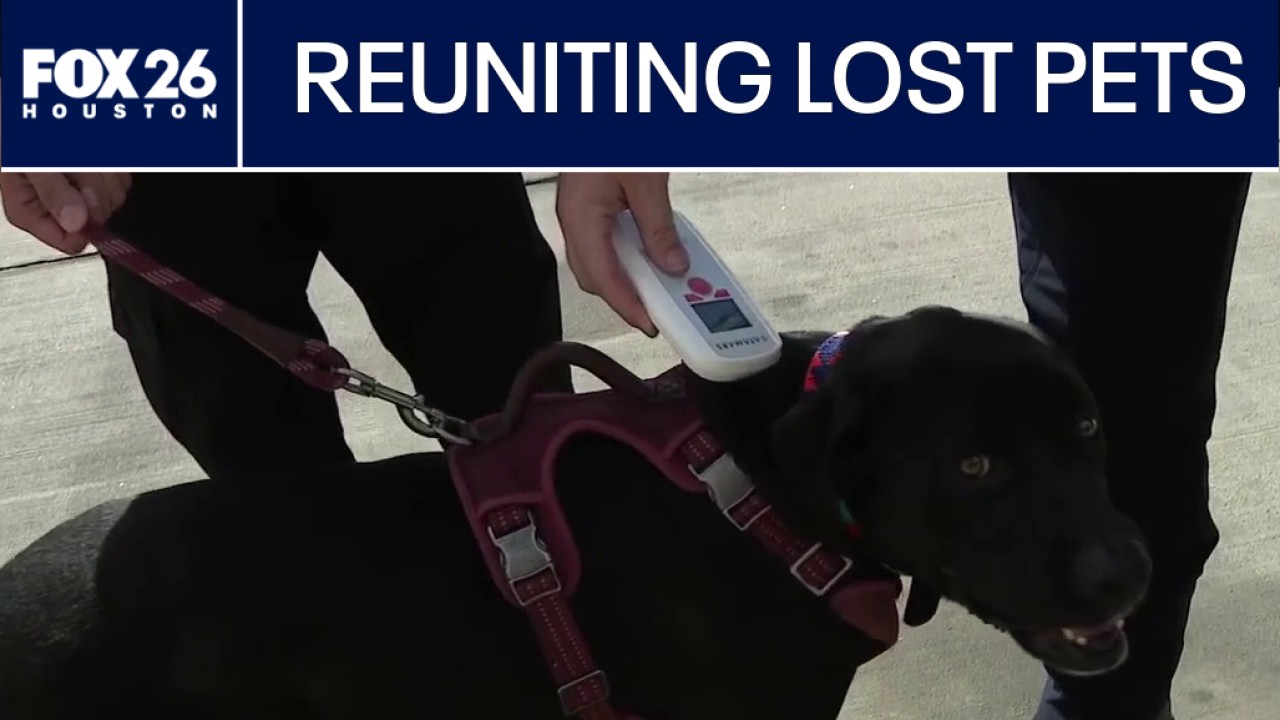 Local fire stations scanning lost pets