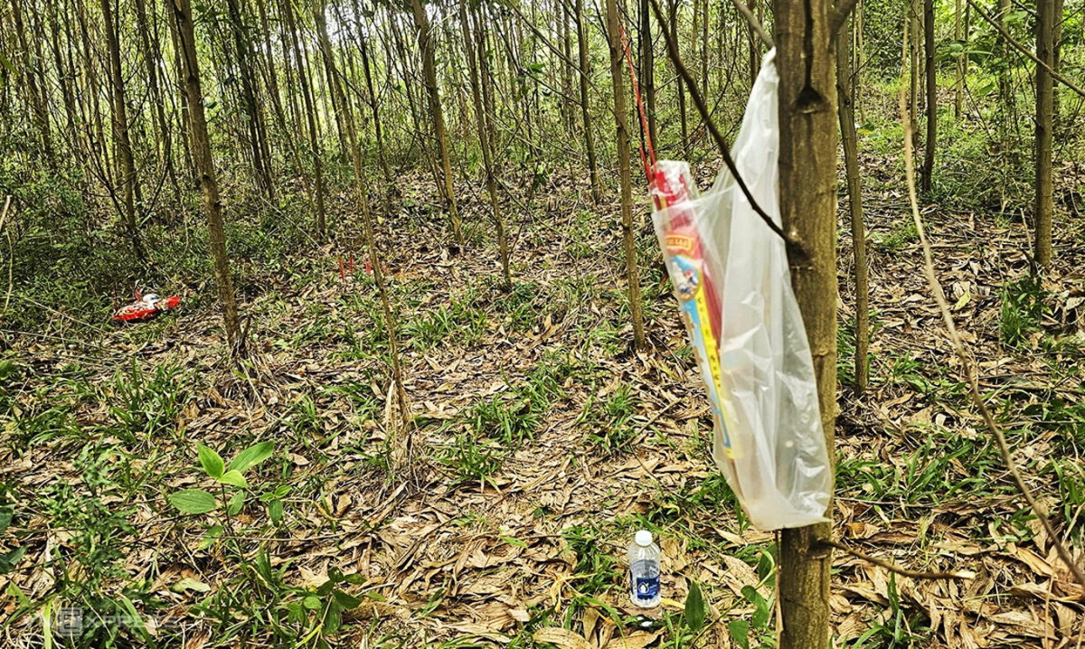 Con rể nổ súng, truy sát bố mẹ vợ