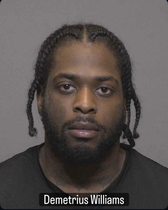 New Haven man faces gun, drug charges