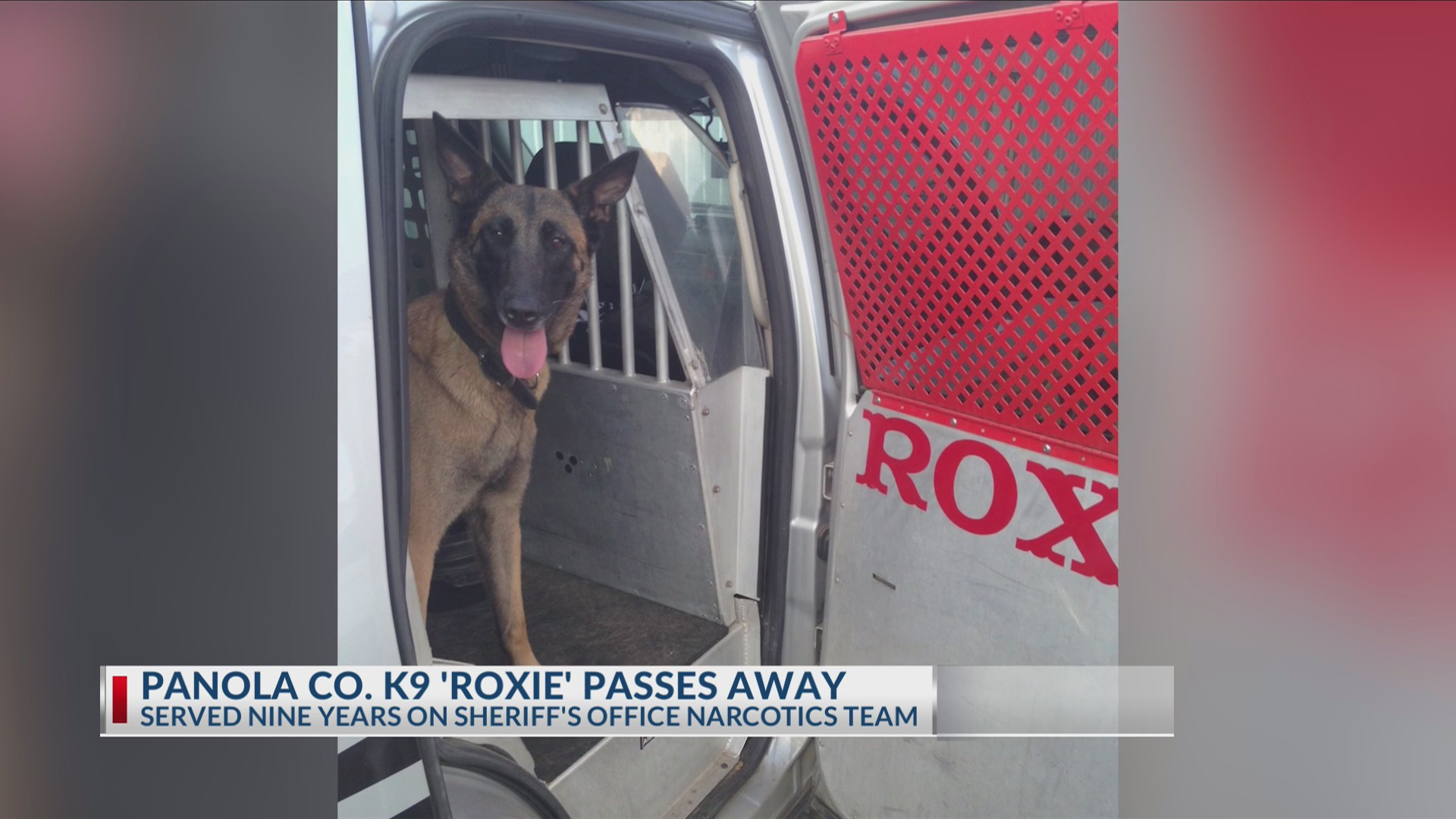 Panola County Sheriff’s Office mourns loss of retired K9