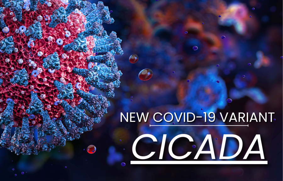 What Lubbock needs to know about the new COVID-19 variant, “Cicada”