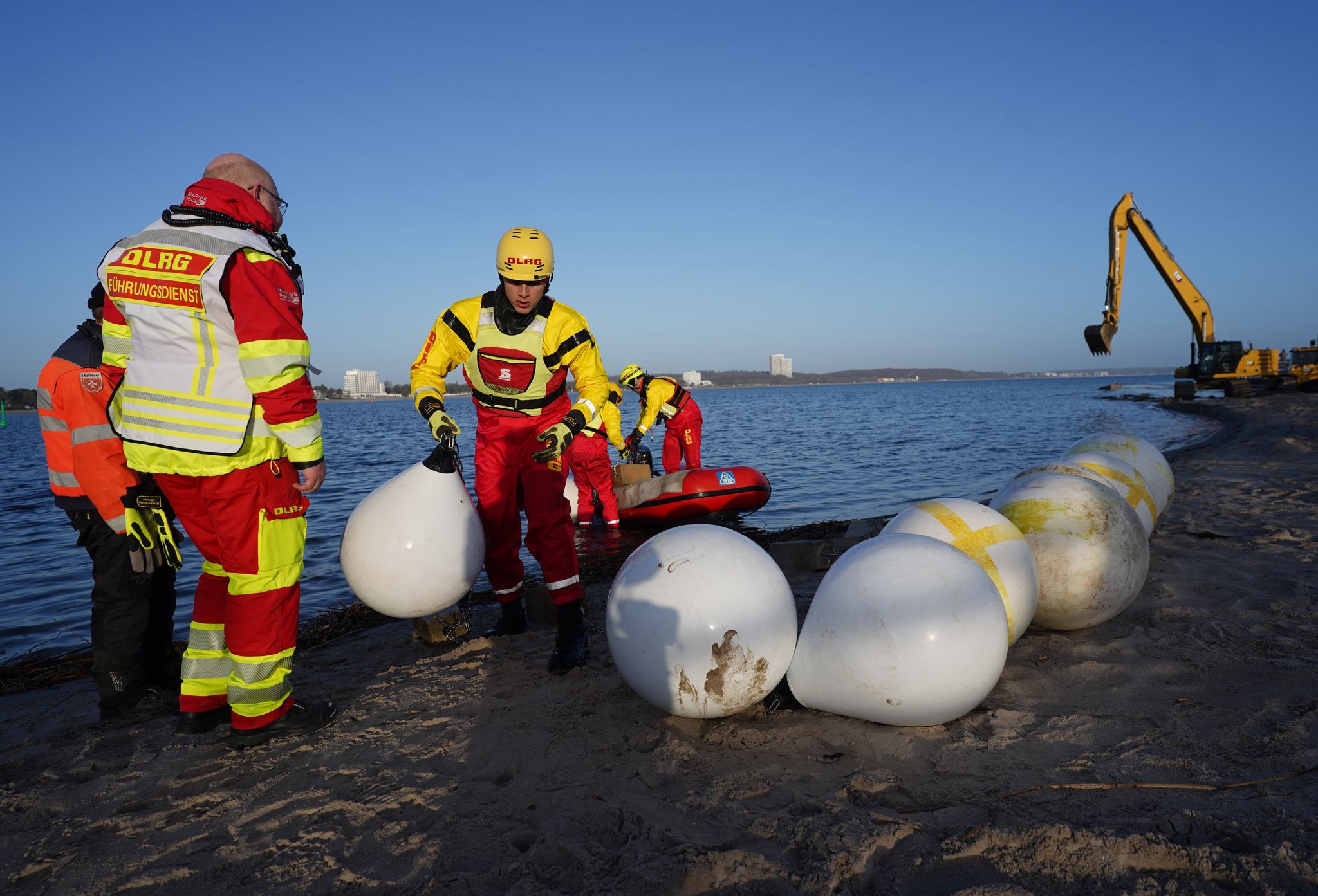 Befreiter Buckelwal schwimmt in Lübecker Bucht