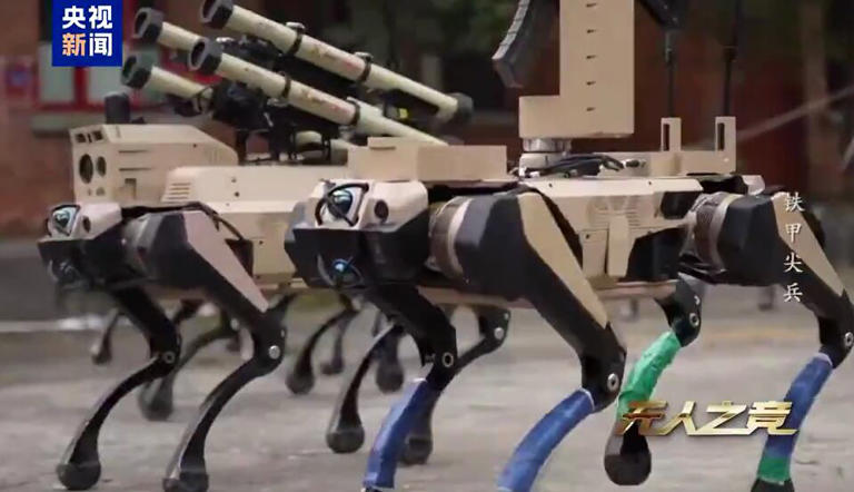 China unveils next-gen 'robot wolf' urban warfare system
