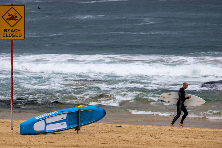 A beach closure sign didn’t stop some surfers heading out into the water.