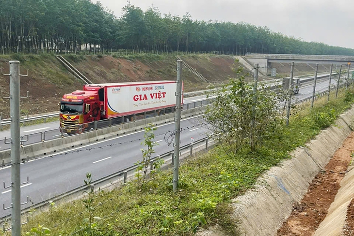 Hàng rào thép gai cao tốc Bắc - Nam bị trâu bò dẫm nát