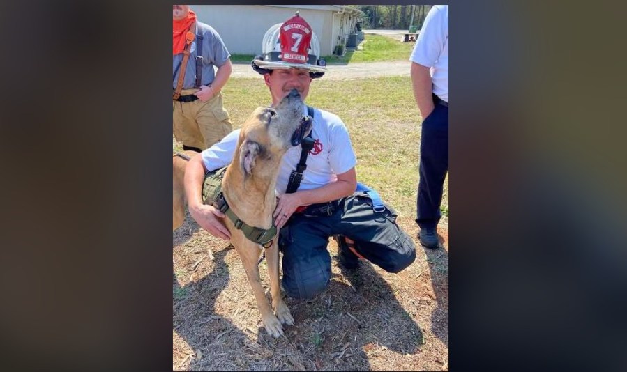 Dog rescued from Upstate house fire