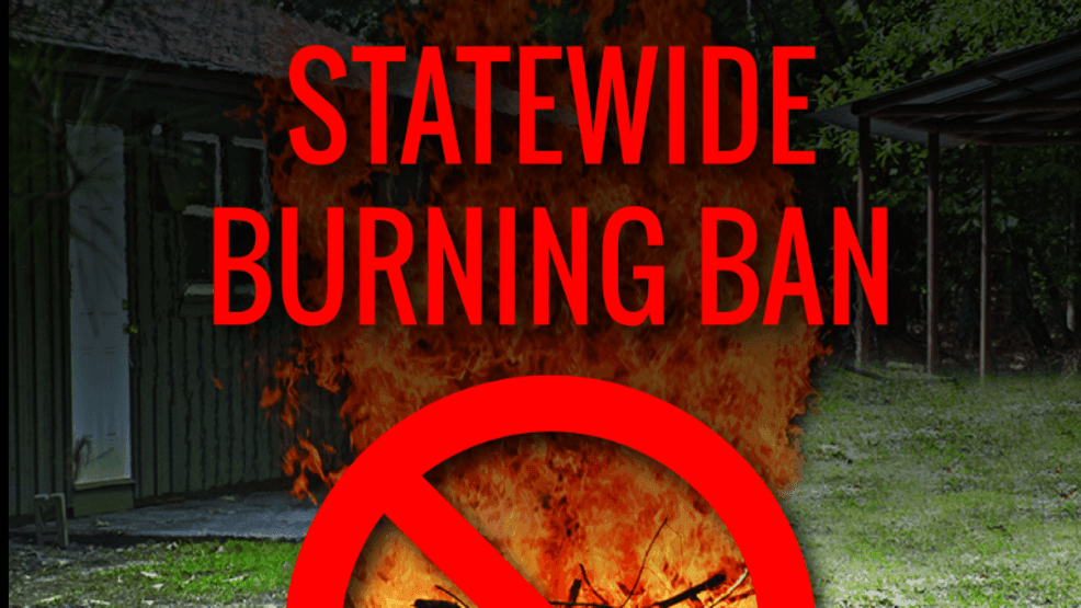 SC outdoor burn ban issued amid dangerous wildfire conditions