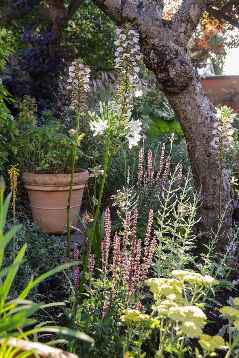 The secret to an expensive-looking garden design? Repetition — which ...