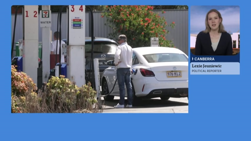 Coalition calls for the fuel excise to be halved as price woes mount