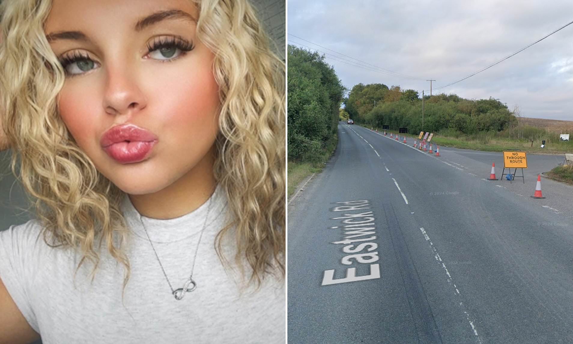 Girl, 17, dies in car crash as heartbroken family say she had 'her ...