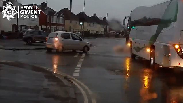 Hit-and-run driver who killed pensioner and tried to blame it on his ...