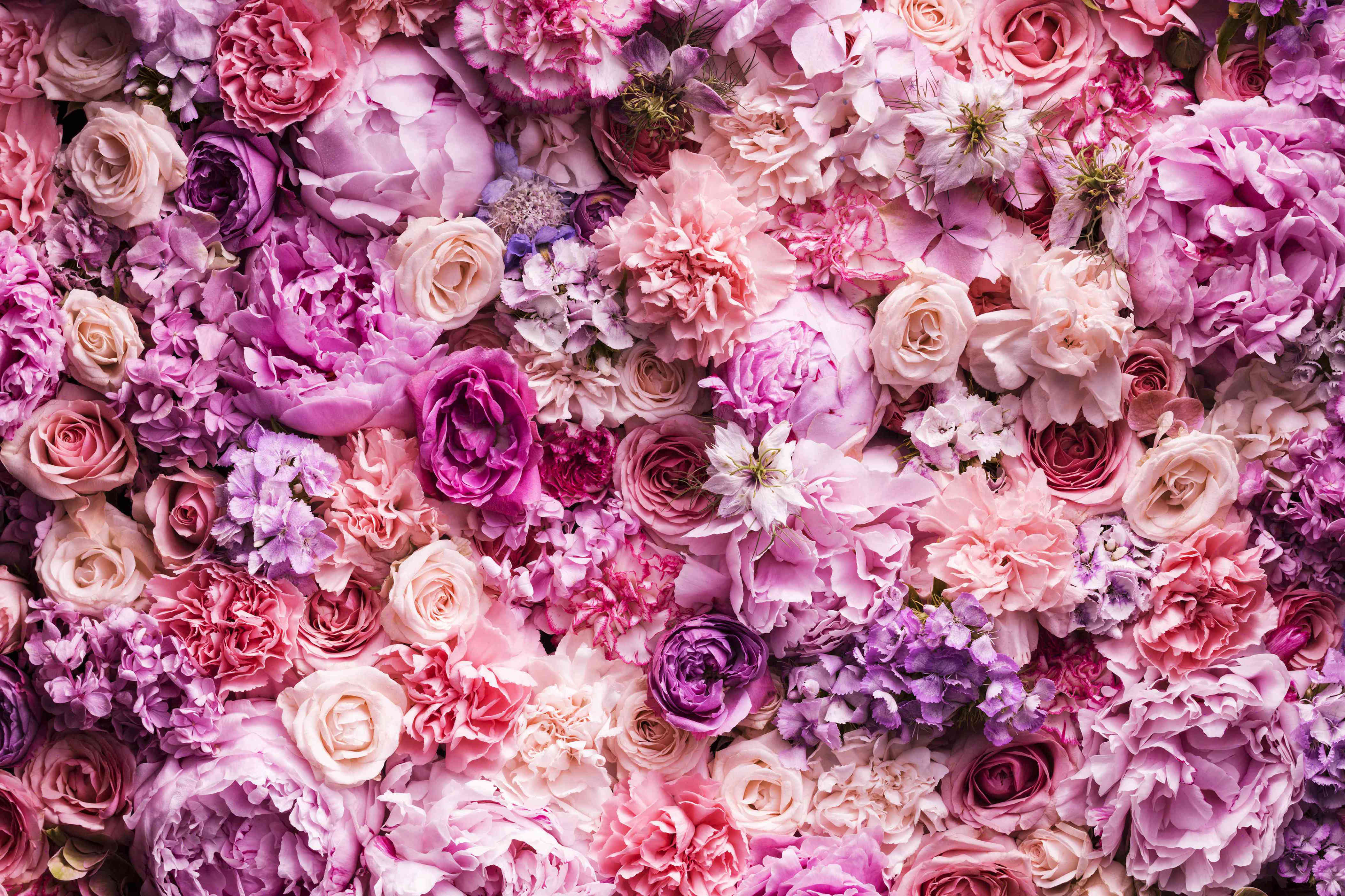 These are the most popular flowers in every state—is your favorite on ...