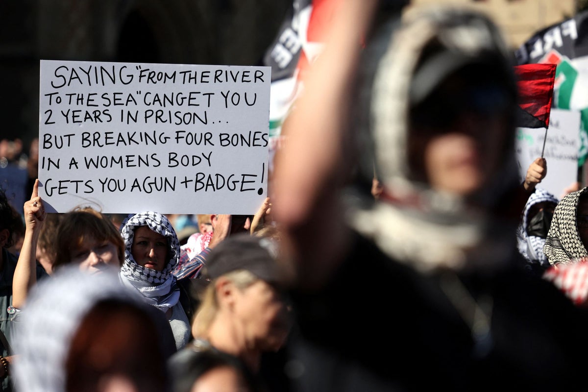 Hate speech laws spark fears of crackdown on Palestine advocacy
