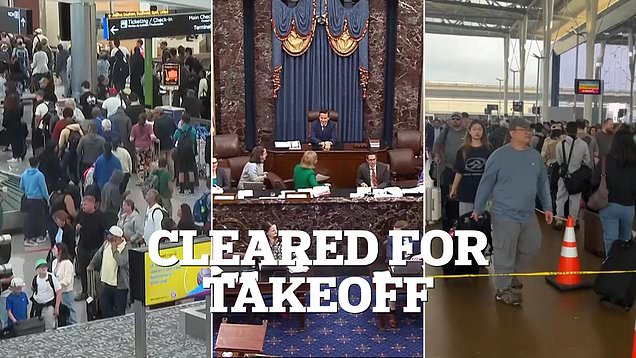 Senate approves funding for TSA as shutdown unleashes travel chaos
