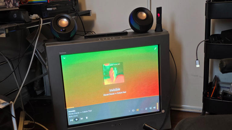 Pebble X Plus speakers review