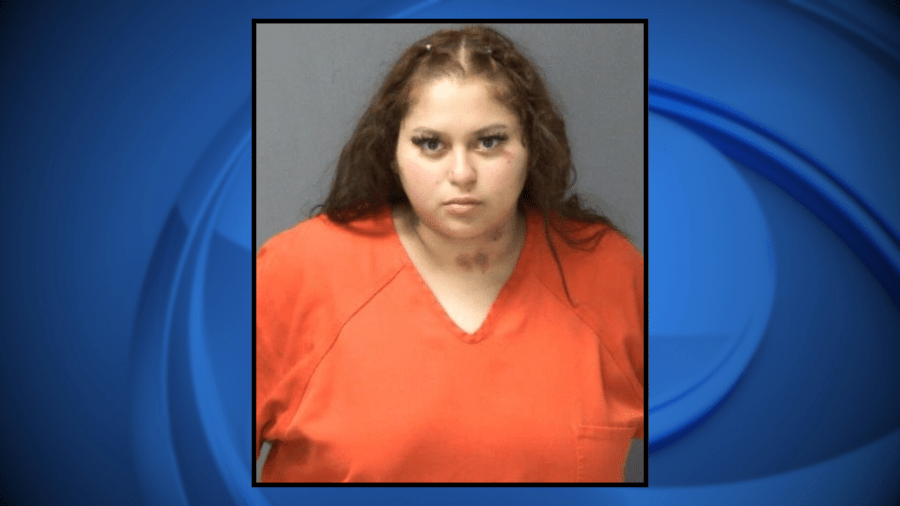 Illinois woman arrested in Wisconsin after traffic stop finds guns ...