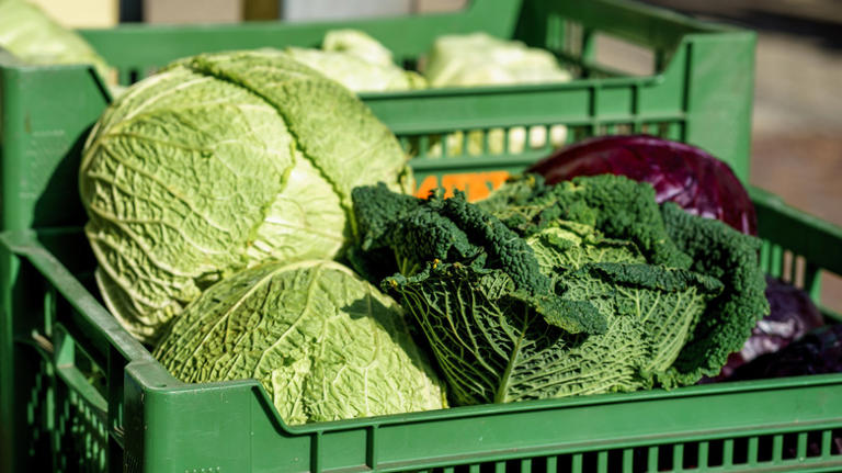 The flavor-packed boil everyone's talking about puts cabbage front and ...