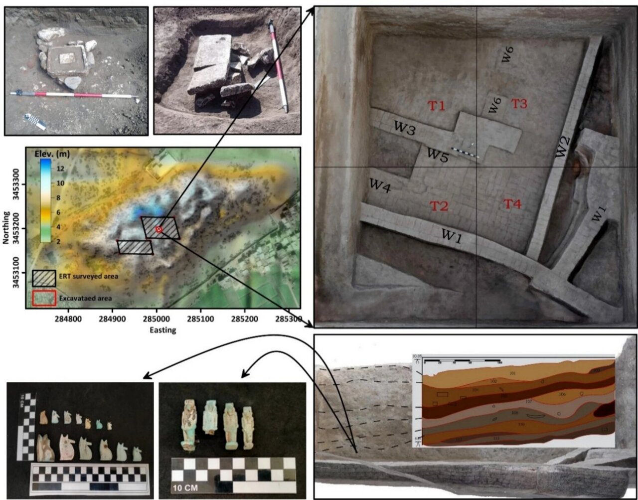 Scientists testing new scanning technology discover mysterious ...