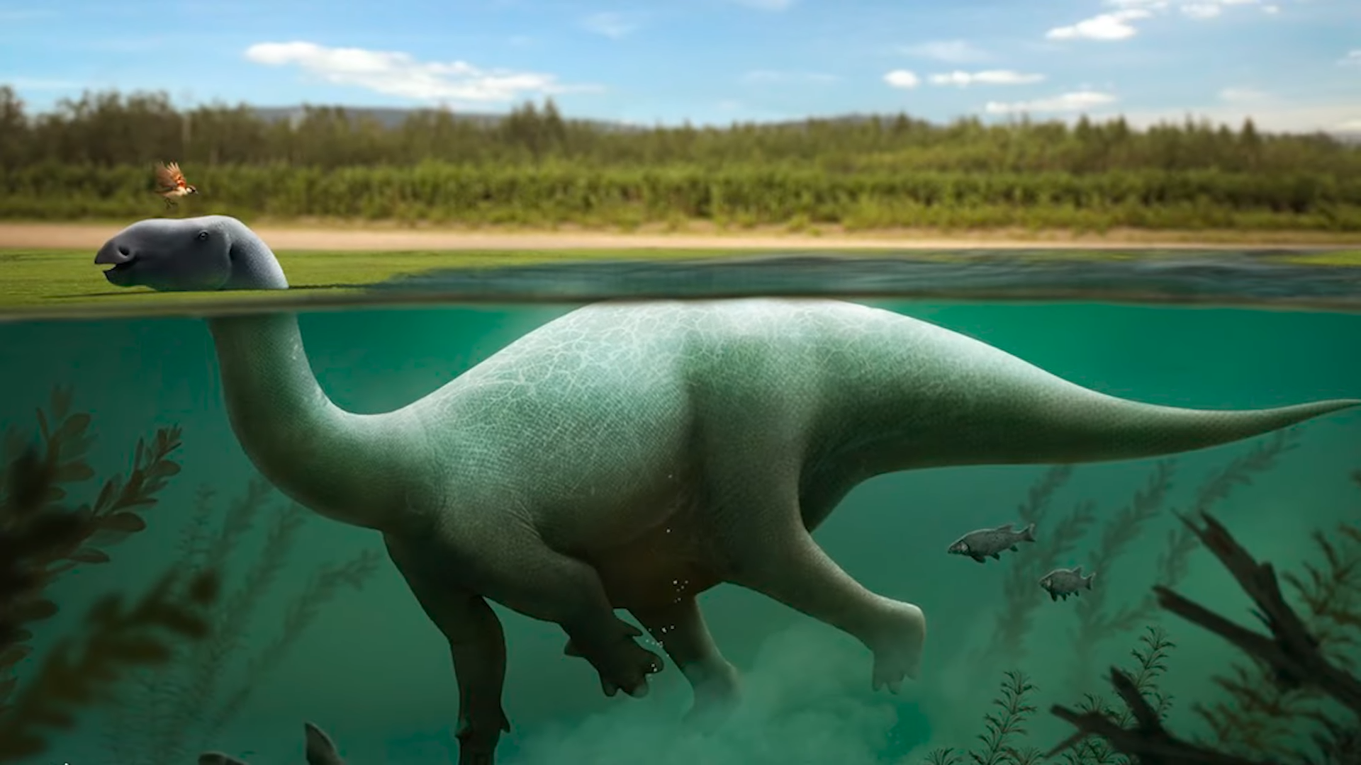 Nigersaurus and the 