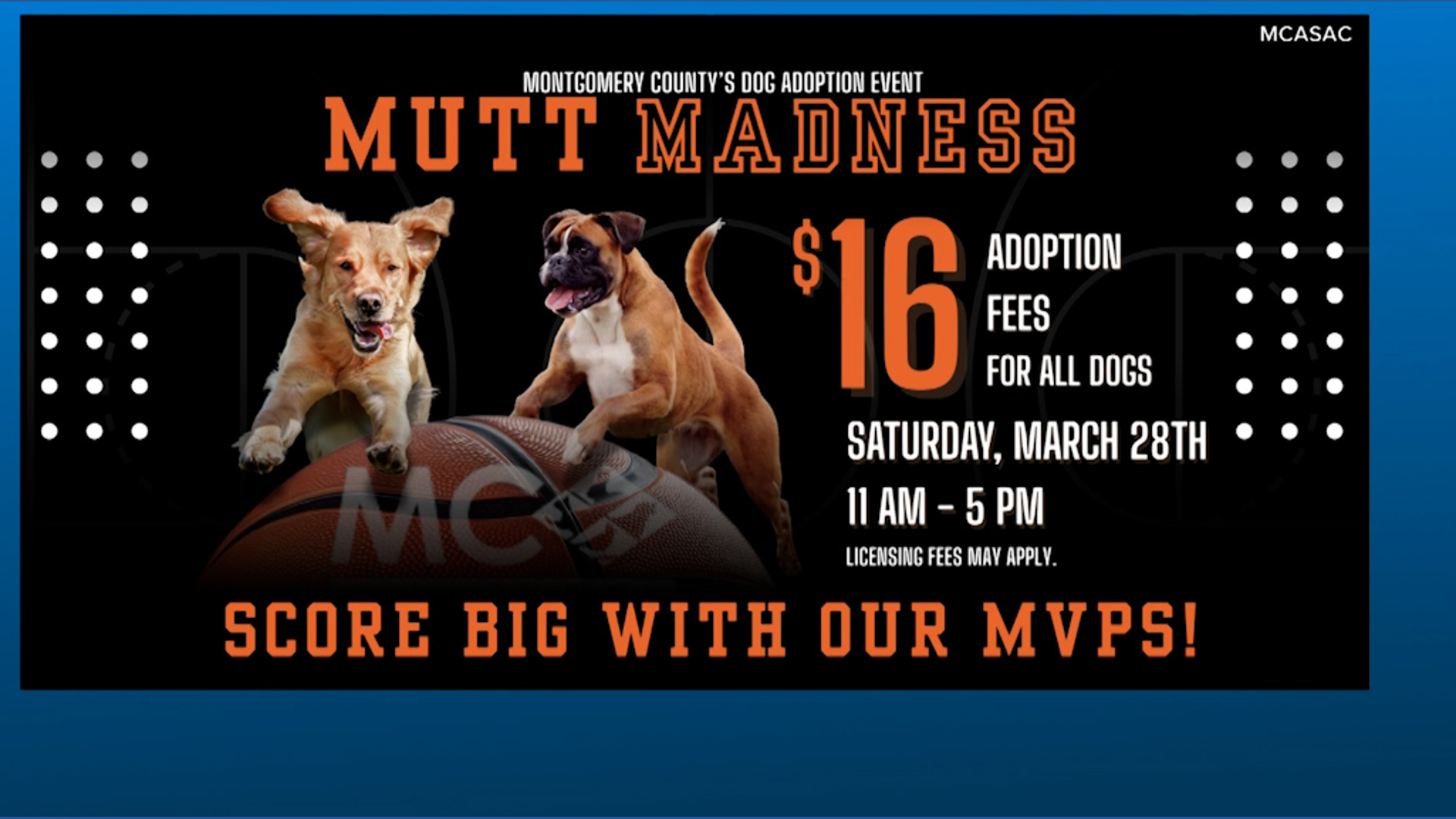 'Mutt Madness' in Montgomery County