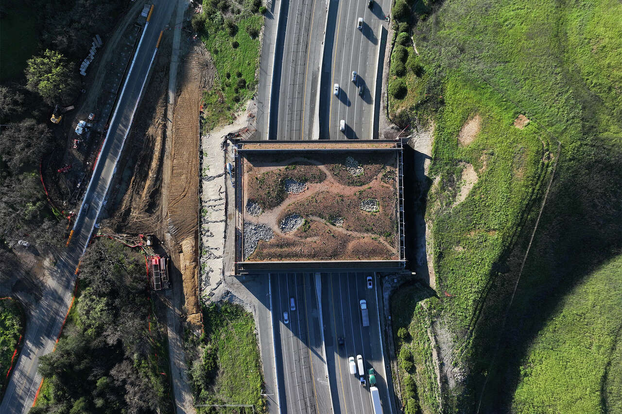 How the world's largest wildlife crossing became the target of right ...