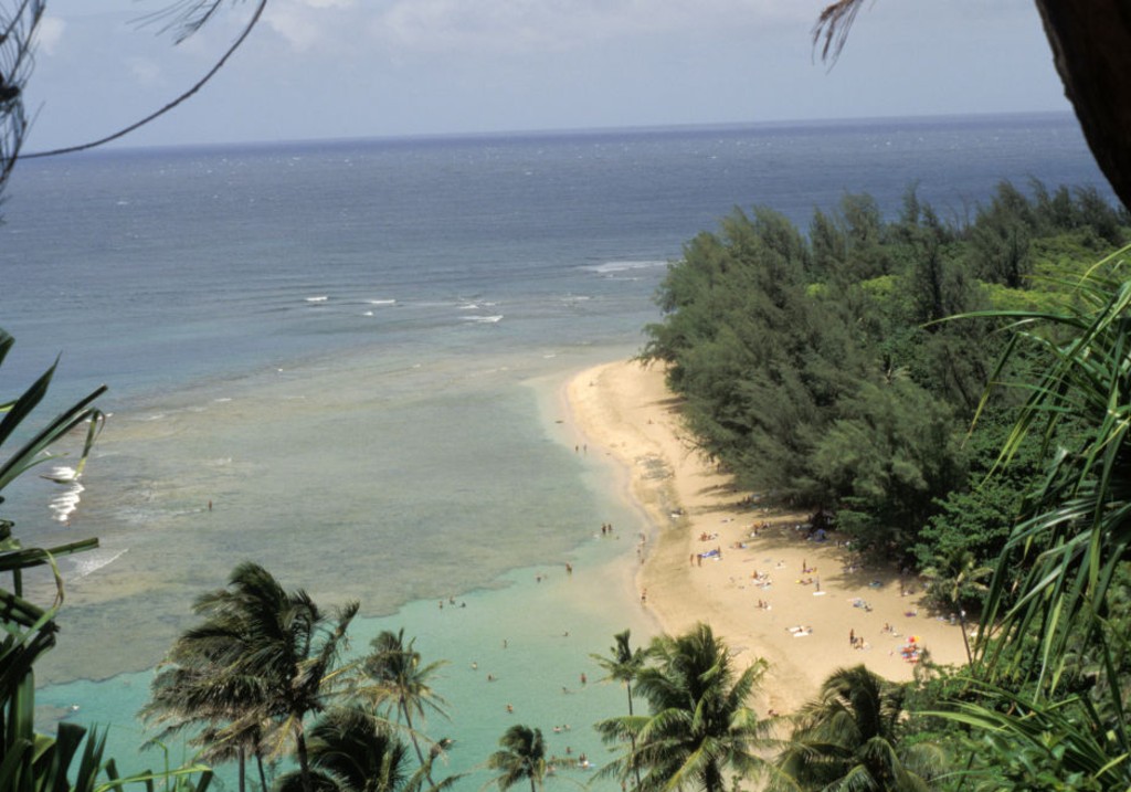 3 killed, 2 injured after helicopter crashes at Kalalau Beach in Hawaii<br>