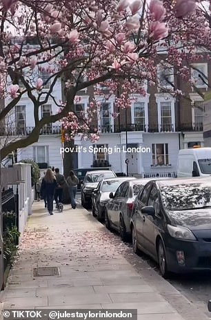 Did YOU fall for 'Fool's Spring'? Brits baffled by freezing weather ...