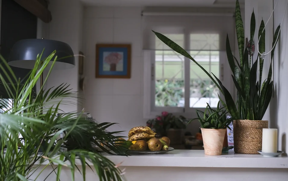 Picture of Modern Scandinavian Houses that Maximize Space - Truoba