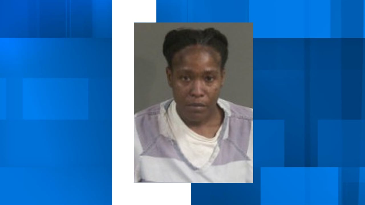 North Charleston woman accused of stabbing boyfriend during domestic ...