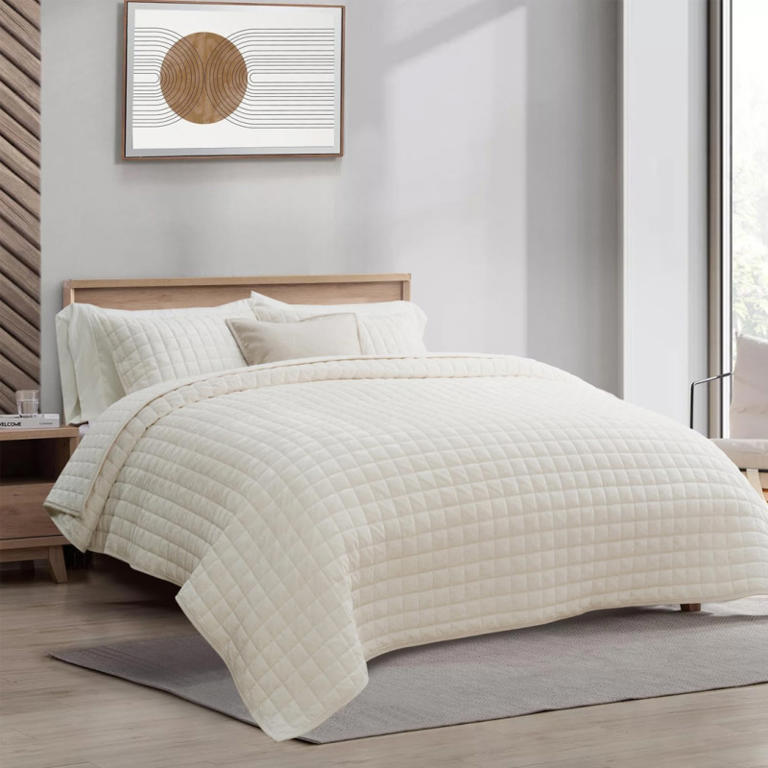 Amazon offers 41% off on Recyco luxury velvet quilt set in 27 colors