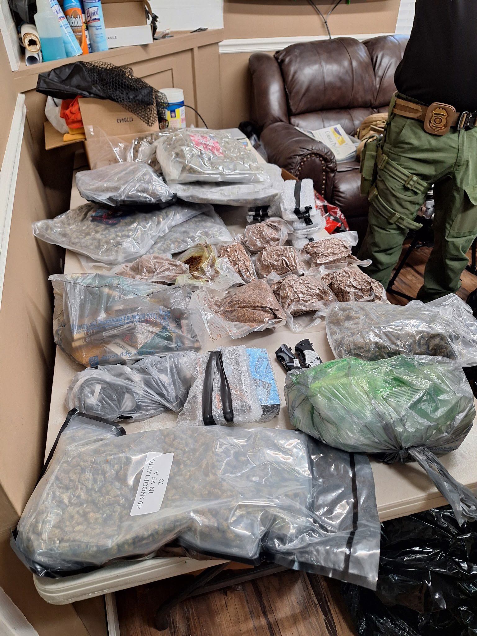 Drone caught attempting to smuggle drugs into Wilcox State Prison