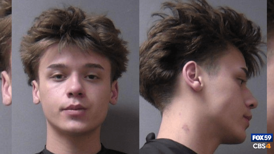 Docs: Man charged after sexually attacking, battering girls