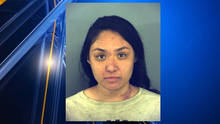 Woman arrested after 'intentionally' ramming into police unit with ...