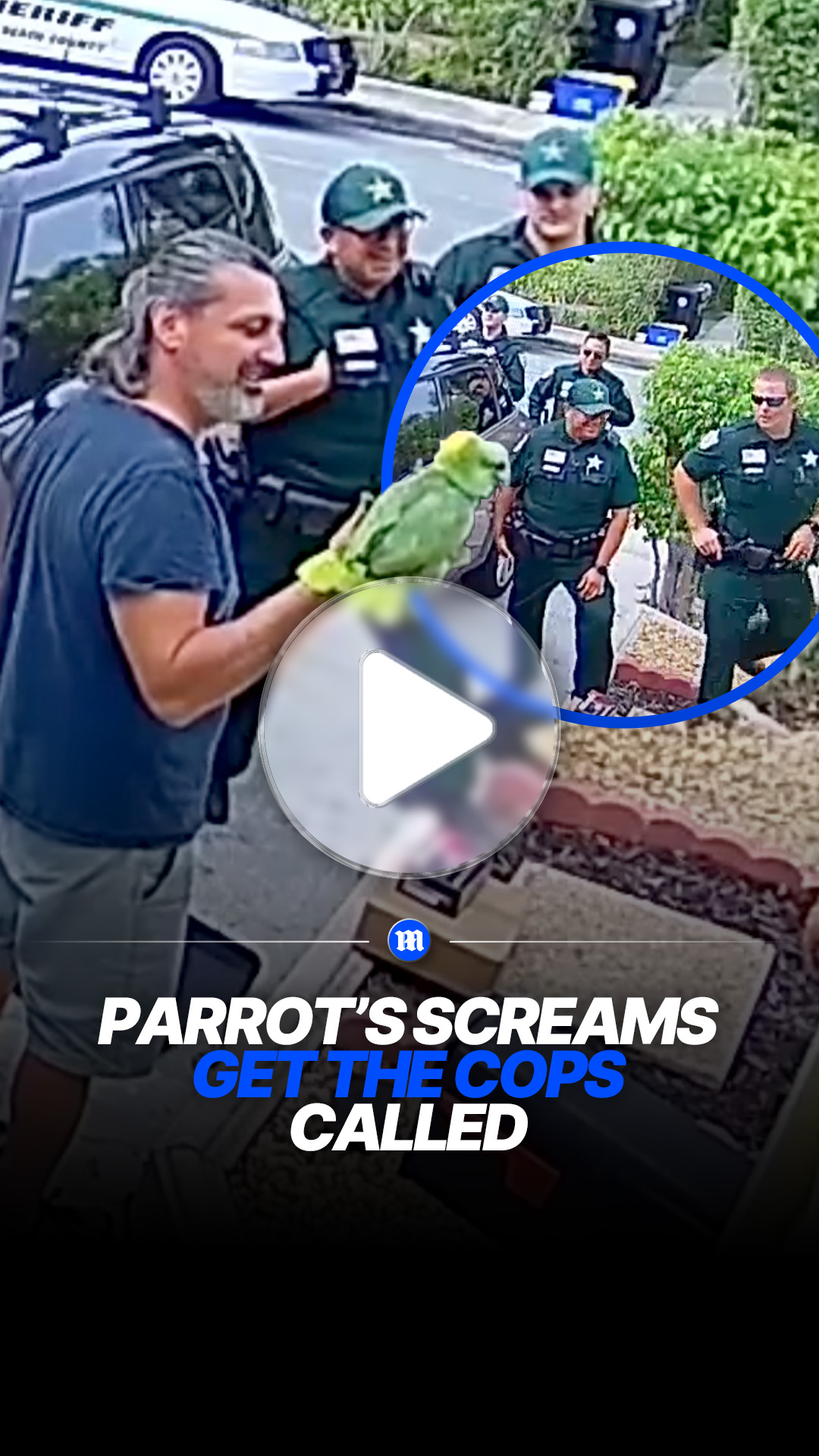 Police respond to screams only to find talking parrot