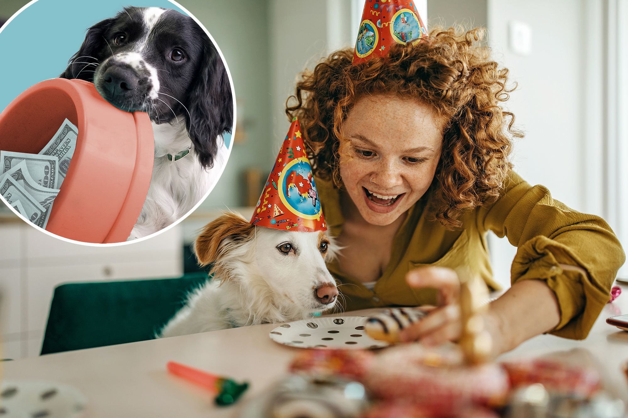 How some Americans could qualify for a $1,000 'dog tax credit'