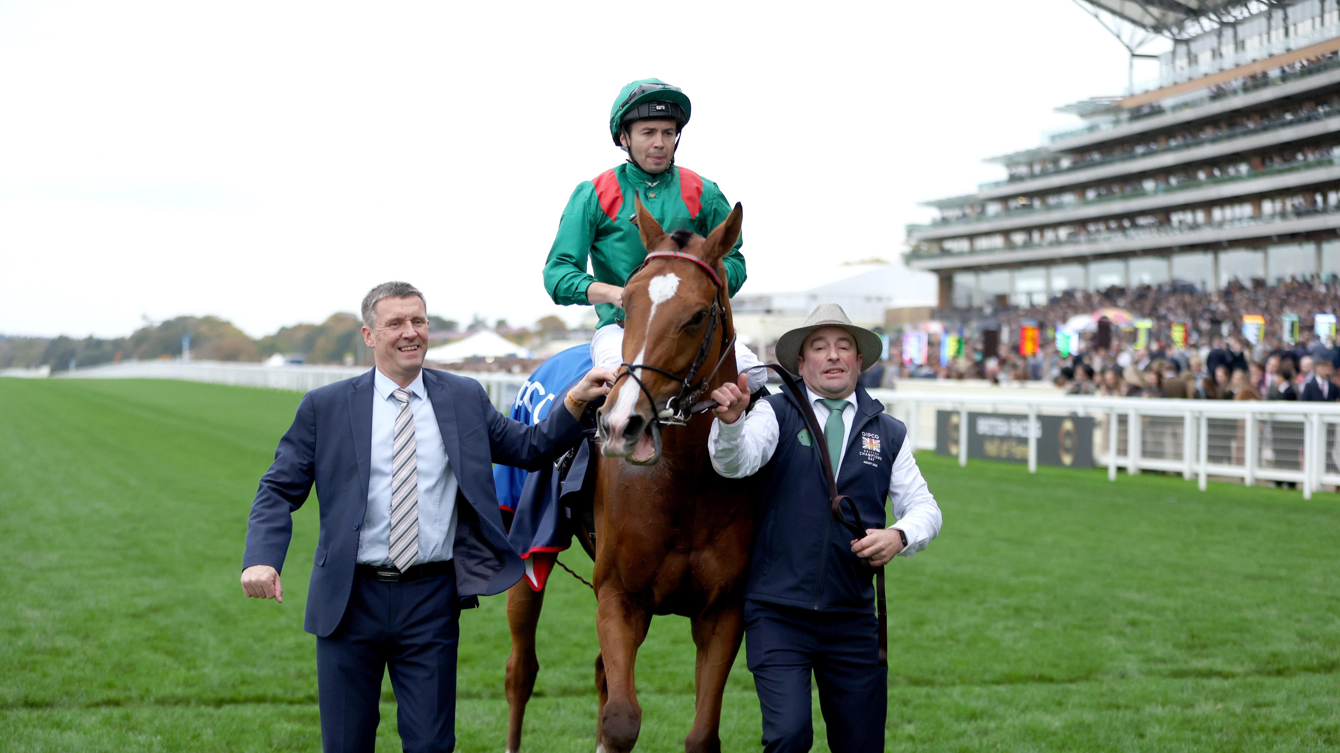 Calandagan starting new campaign with proud title of best horse in the ...