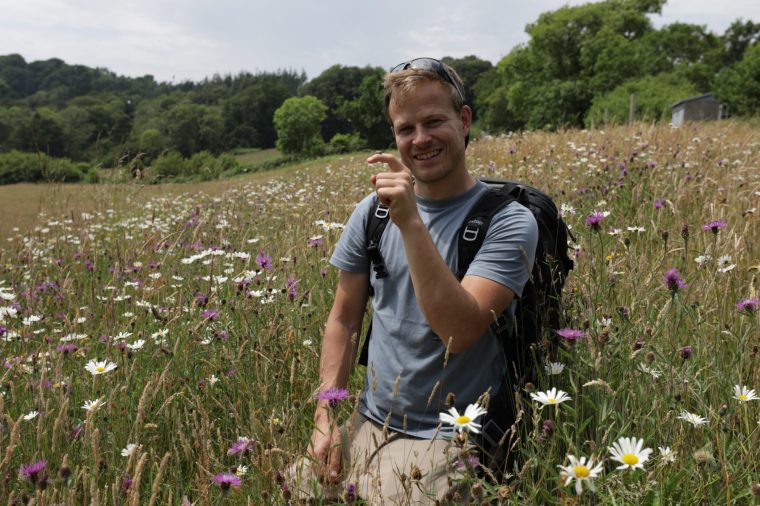 I’m a wildlife expert – why we should all be worried about bees