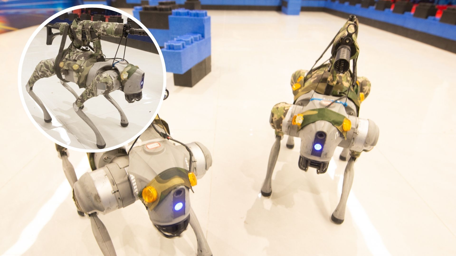 China’s rifle-toting robot dogs operate like swarm platform, can ...