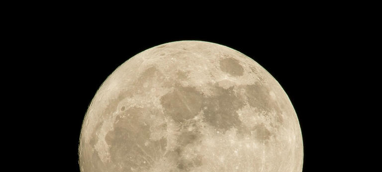Purrrfect Moon