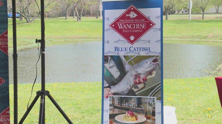 The blue catfish: If you can’t beat ’em, eat ’em