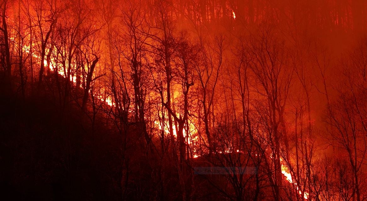 Red flag warning issued for western North Carolina, South Carolina ...