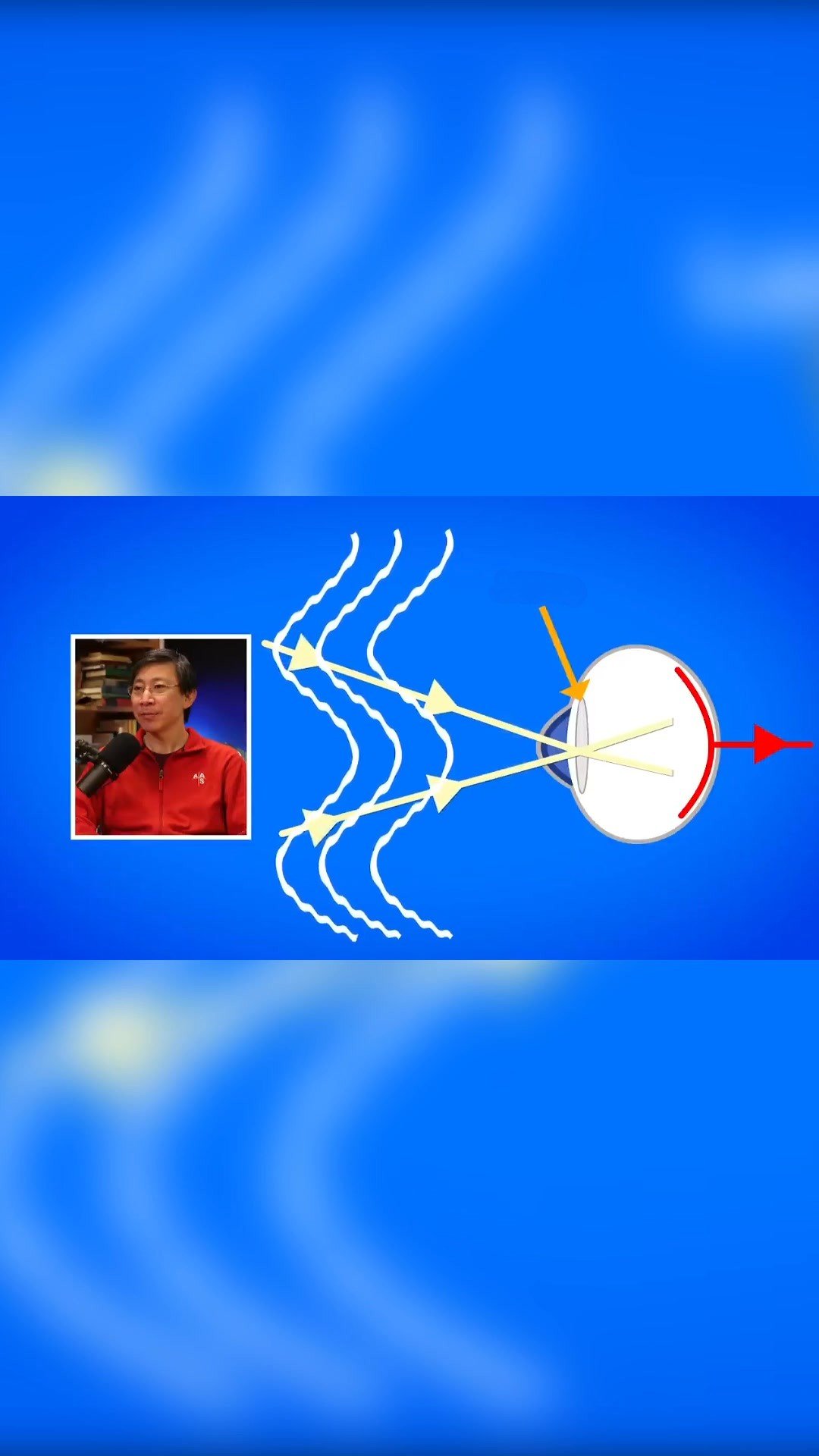 How sight works