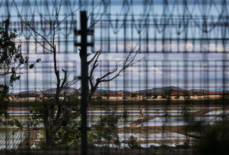 Eunhee and her son last saw each other on the banks of the Yalu River, seen here through a Chinese border fence in 2017